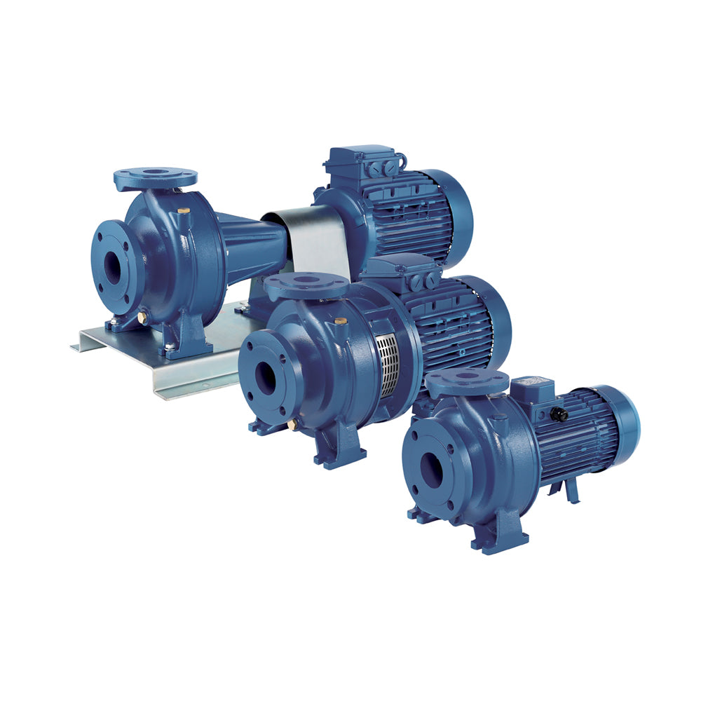 Ebara 3D4/J 65-200/2,2 R IE3 | Elettropompa di Superficie